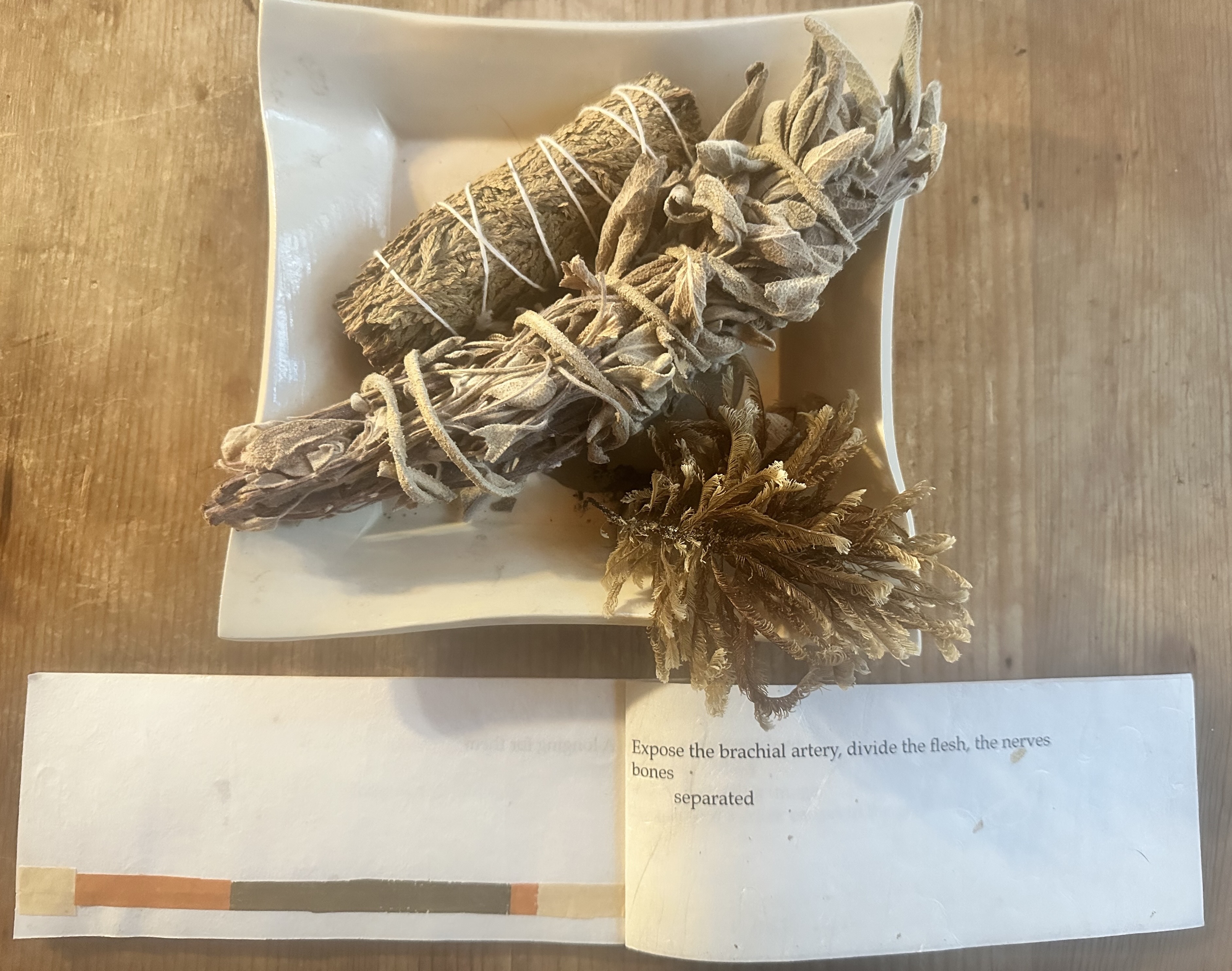 sage, seaweed and book excerpt