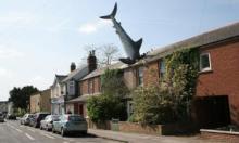 Author Photo as Shark Crashing Thru Residential Roof Sculpture